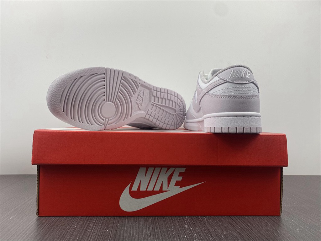 NIKE DUNK LOW  DD1503-116